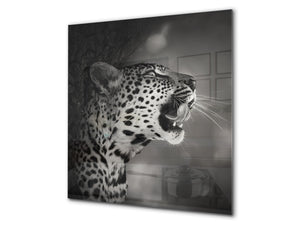 Paraschizzi vetro rinforzato – Paraspruzzi artistico stampato su vetro BS21A Serie animali A: Tiger in bianco e nero 5