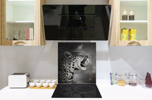 Art glass design printed glass splashback BS21A  Animals A Series: Tiger Black And White 5