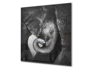 Glas Küchenrückwand – Hartglas-Rückwand – Foto-Rückwand BS 21A Serie Tiere A:  Black And White Elephant 1
