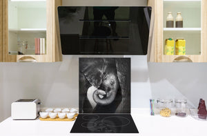 Diseño de vidrio de arte splashback de vidrio impreso BS21A Animals A Series: Elefante blanco y negro 1