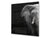 Paraschizzi vetro rinforzato – Paraspruzzi artistico stampato su vetro BS21A Serie animali A: Elefante in bianco e nero 2