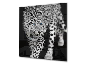 Art glass design printed glass splashback BS21A  Animals A Series: Tiger Cheetah 1