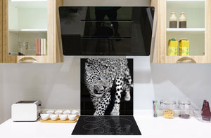 Art glass design printed glass splashback BS21A  Animals A Series: Tiger Cheetah 1