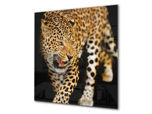 Paraschizzi vetro rinforzato – Paraspruzzi artistico stampato su vetro BS21A Serie animali A: Tiger Cheetah 2