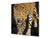 Diseño de vidrio de arte splashback de vidrio impreso BS21A Animals A Series: Tigre guepardo 2