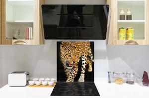 Art glass design printed glass splashback BS21A  Animals A Series: Tiger Cheetah 2