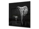 Diseño de vidrio de arte splashback de vidrio impreso BS21A Animals A Series: Elefante blanco y negro 3