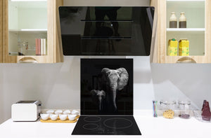 Paraschizzi vetro rinforzato – Paraspruzzi artistico stampato su vetro BS21A Serie animali A: Elefante in bianco e nero 3