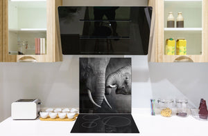 Diseño de vidrio de arte splashback de vidrio impreso BS21A Animals A Series: Elefante blanco y negro 4