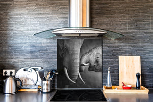 Diseño de vidrio de arte splashback de vidrio impreso BS21A Animals A Series: Elefante blanco y negro 4