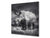 Glas Küchenrückwand – Hartglas-Rückwand – Foto-Rückwand BS 21A Serie Tiere A:  Rhinoceros Gray