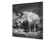 Art glass design printed glass splashback BS21A  Animals A Series: Rhinoceros Gray