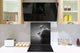 Décoration murale imprimée sur verre de sécurité – Antiprojections en verre cuisine BS21B Série animaux B  Lion gris