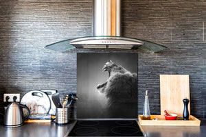 Glas Küchenrückwand – Hartglas-Rückwand – Foto-Rückwand BS 21B Serie Tiere B:  Lion Gray