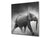 Paraspruzzi artistico stampato su vetro BS21B Serie animali B: Elefante grigio 1