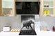 Décoration murale imprimée sur verre de sécurité – Antiprojections en verre cuisine BS21B Série animaux B  Éléphant Gris 1