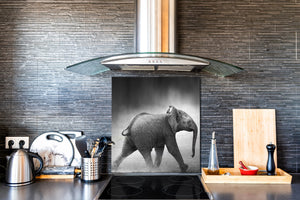 Vidriopanel protector antisalpicaduras para cocina -  Serie Animales B BS21B Series: Elefante Gris 1