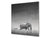 Décoration murale imprimée sur verre de sécurité – Antiprojections en verre cuisine BS21B Série animaux B  Éléphant Gris 2