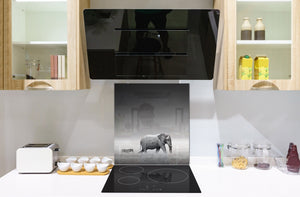 Vidriopanel protector antisalpicaduras para cocina -  Serie Animales B BS21B Series: Elefante Gris 2