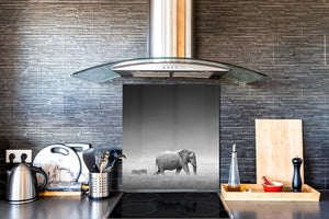 Panel de vidrio frente cocina antisalpicaduras de diseño – BS21B Serie Animales B:  Elefante grigio 2