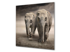 Toughened glass backsplash – BS21B  Animals B Series: Elephants In The Field
