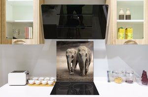 Vidriopanel protector antisalpicaduras para cocina -  Serie Animales B BS21B Series: Elefantes en el campo