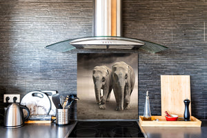 Décoration murale imprimée sur verre de sécurité – Antiprojections en verre cuisine BS21B Série animaux B  Éléphants dans le champ
