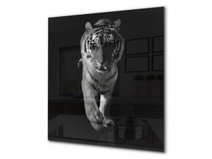 Toughened glass backsplash – BS21B  Animals B Series: Tiger Cheetah 3