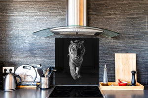 Décoration murale imprimée sur verre de sécurité – Antiprojections en verre cuisine BS21B Série animaux B  Guépard tigre 3