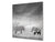 Glas Küchenrückwand – Hartglas-Rückwand – Foto-Rückwand BS 21B Serie Tiere B:  Elephants Gray