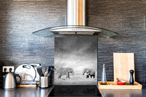 Paraschizzi vetro rinforzato – Paraspruzzi artistico stampato su vetro BS21B Serie animali B:  Elefanti grigi
