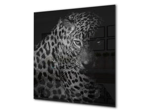 Décoration murale imprimée sur verre de sécurité – Antiprojections en verre cuisine BS21B Série animaux B  Guépard tigre 5