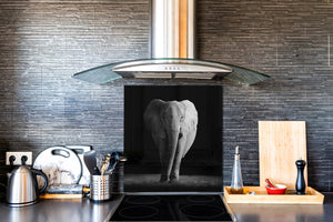 Décoration murale imprimée sur verre de sécurité – Antiprojections en verre cuisine BS21B Série animaux B  Éléphant noir et blanc 5