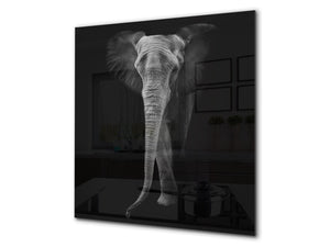 Toughened glass backsplash – BS21B  Animals B Series: Black And White Elephant 6