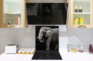 Vidriopanel protector antisalpicaduras para cocina -  Serie Animales B BS21B Series: Elefante blanco y negro 7
