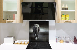 Toughened glass backsplash – BS21B  Animals B Series: Black And White Elephant 8