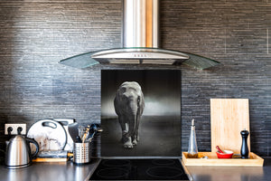 Décoration murale imprimée sur verre de sécurité – Antiprojections en verre cuisine BS21B Série animaux B  Éléphant noir et blanc 8