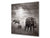 Paraschizzi vetro rinforzato – Paraspruzzi artistico stampato su vetro BS21B Serie animali B:  Elefante in bianco e nero 9