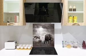 Vidriopanel protector antisalpicaduras para cocina -  Serie Animales B BS21B Series: Elefante blanco y negro 9