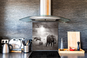 Décoration murale imprimée sur verre de sécurité – Antiprojections en verre cuisine BS21B Série animaux B  Éléphant noir et blanc 9