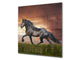 Paraschizzi vetro rinforzato – Paraspruzzi artistico stampato su vetro BS21B Serie animali B:  Horse In Gallop