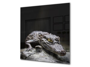 Décoration murale imprimée sur verre de sécurité – Antiprojections en verre cuisine BS21B Série animaux B  Gris Crocodile