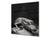 Glas Küchenrückwand – Hartglas-Rückwand – Foto-Rückwand BS 21B Serie Tiere B:  Crocodile Gray