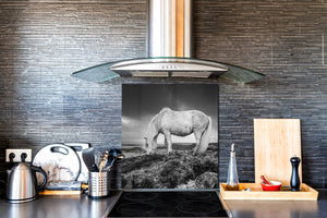Paraschizzi vetro rinforzato – Paraspruzzi artistico stampato su vetro BS21B Serie animali B: Cavallo Grigio