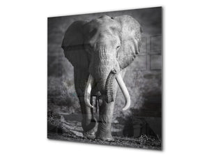 Toughened glass backsplash – BS21B  Animals B Series: Elephant Gray 3
