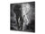 Glas Küchenrückwand – Hartglas-Rückwand – Foto-Rückwand BS 21B Serie Tiere B:  Elephant Gray 3