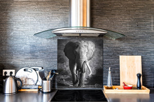Vidriopanel protector antisalpicaduras para cocina -  Serie Animales B BS21B Series: Elefante Gris 3