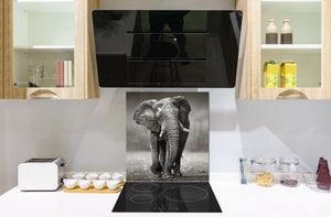 Vidriopanel protector antisalpicaduras para cocina -  Serie Animales B BS21B Series: Elefante Gris 4