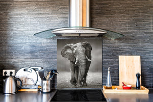 Décoration murale imprimée sur verre de sécurité – Antiprojections en verre cuisine BS21B Série animaux B  Éléphant Gris 4