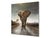 Paraschizzi vetro rinforzato – Paraspruzzi artistico stampato su vetro BS21B Serie animali B:  Elefante grigio 5